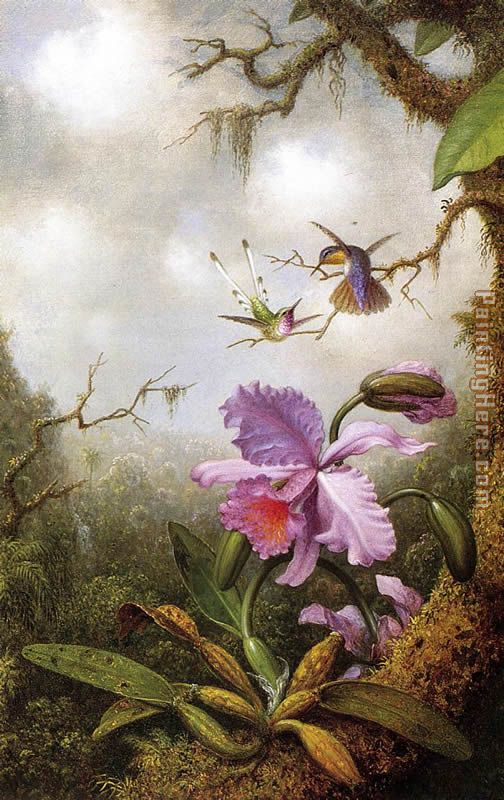 Two Hummingbirds and a PinkOrchid painting - Martin Johnson Heade Two Hummingbirds and a PinkOrchid art painting
